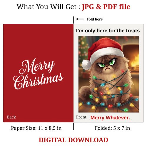 Funny Christmas Cat Card | Grumpy Cat Santa Printable | Instant Download