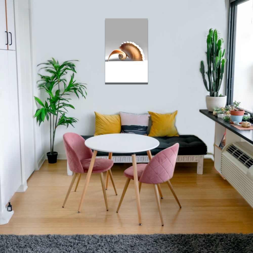 Serene Coastal Seashell Decor