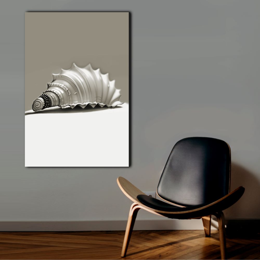 Black and White Seashell Canvas