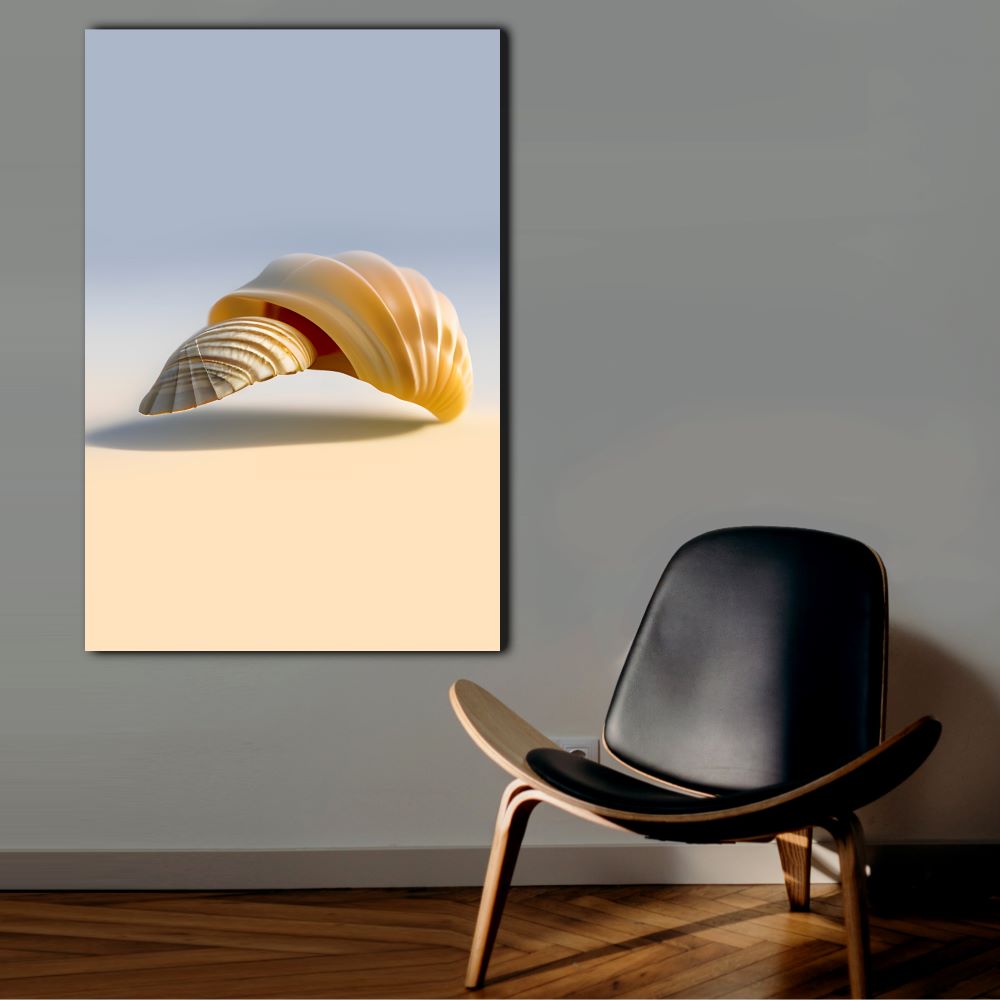 Minimalist Seashell Wall Decor Nature Art