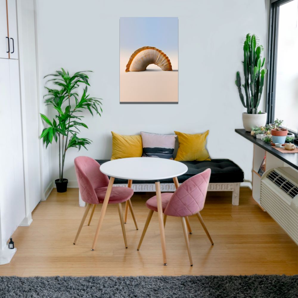 Seascape Arch - Modern Seashell Wall Art