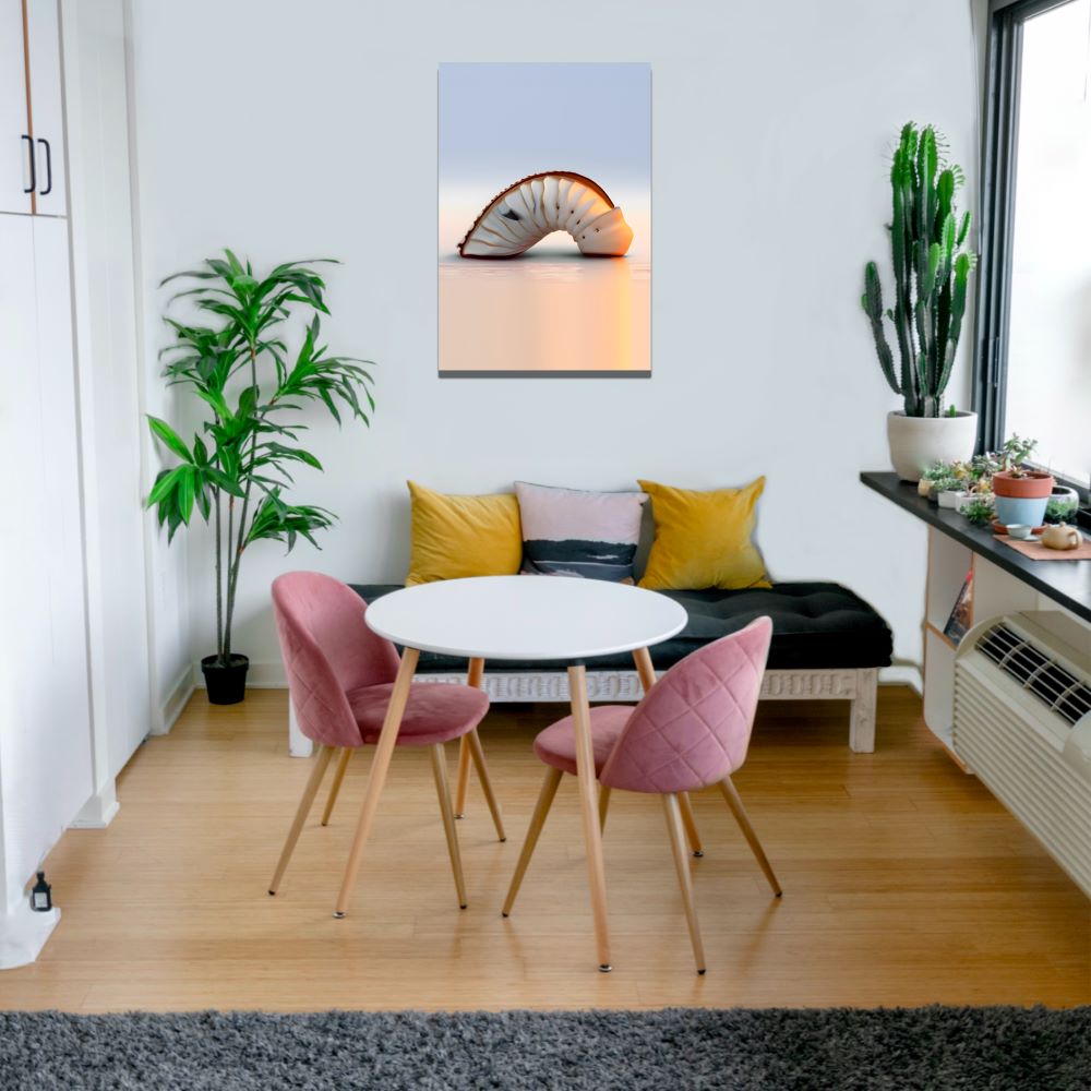 Coastal Living Room Wall Art Seashell