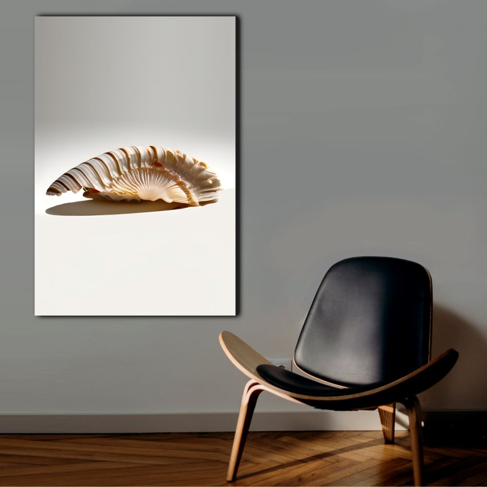 Nautilus Shell Wall Decor