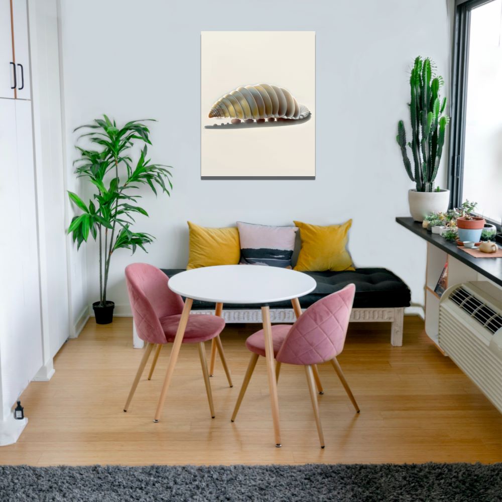 Rollie Pollie Armadillo Seashell Wall Art