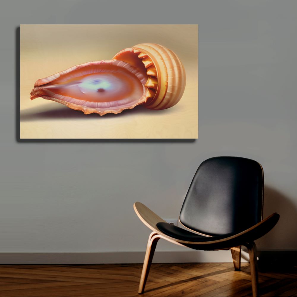 Seashell Wall Art Agate Eye Painting