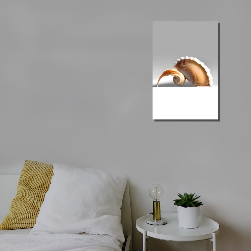 Serene Coastal Seashell Decor