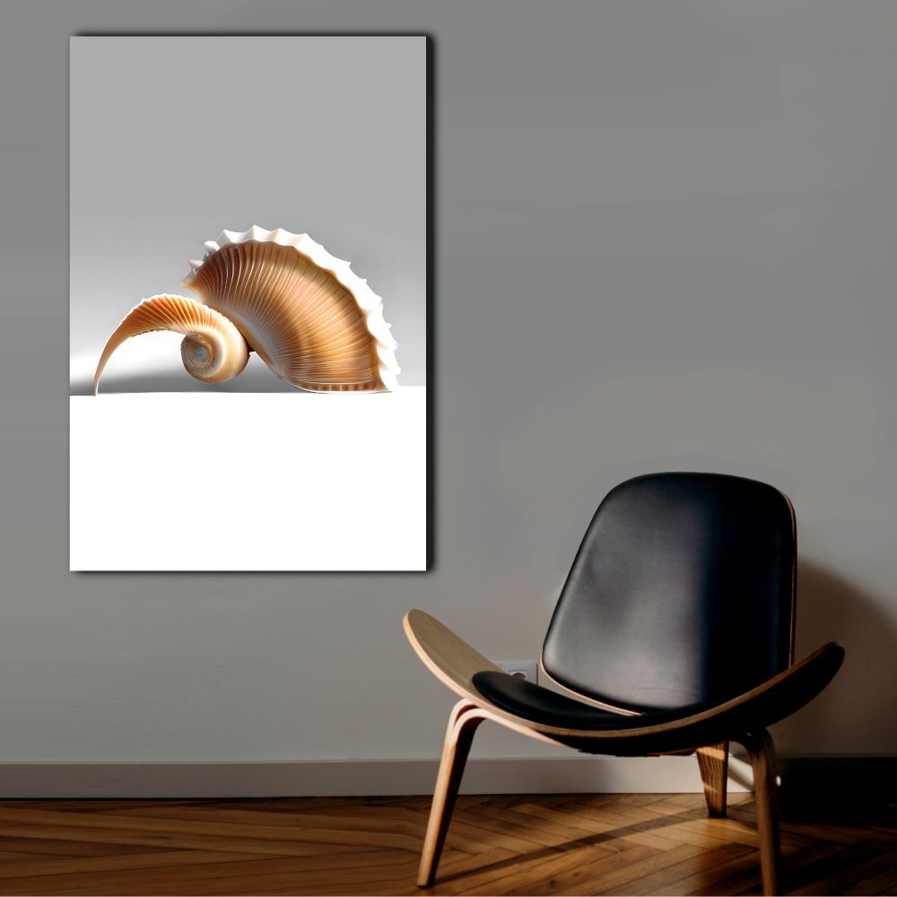 Serene Coastal Seashell Decor