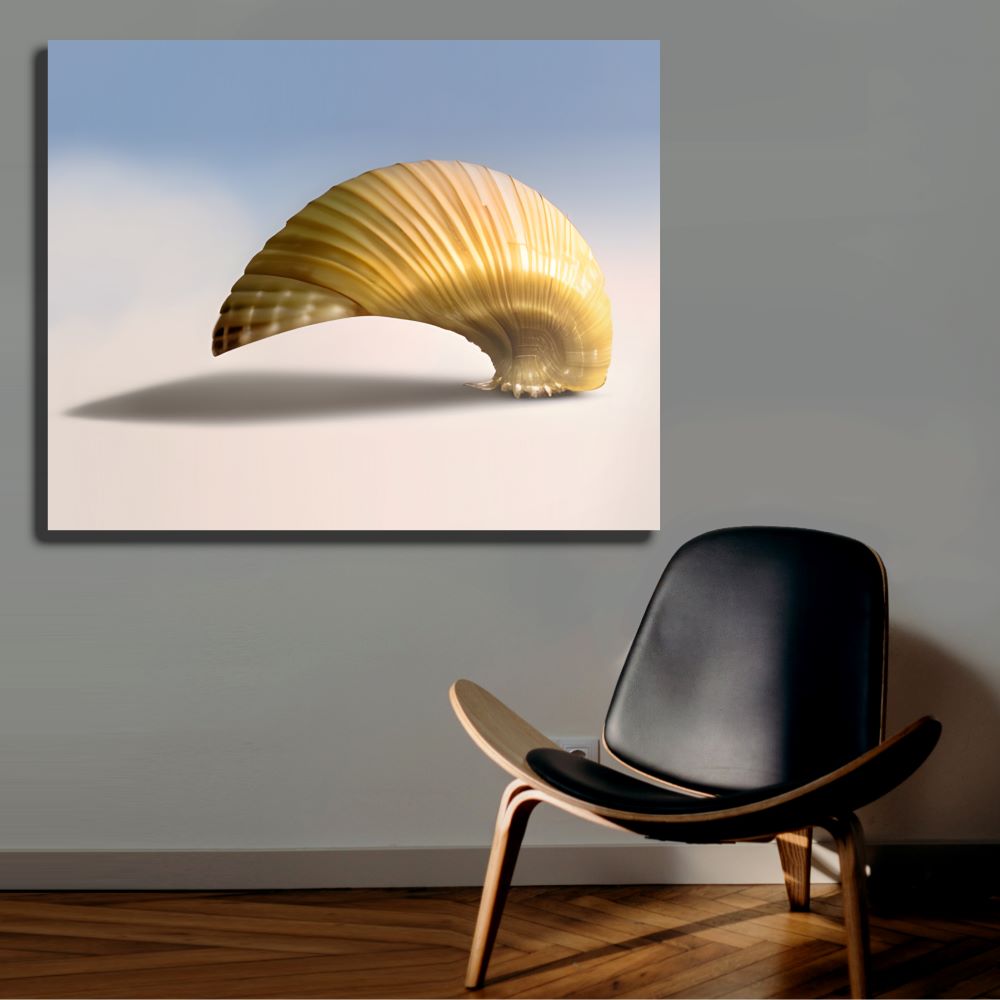 Coastal Living Seashell Wall Art