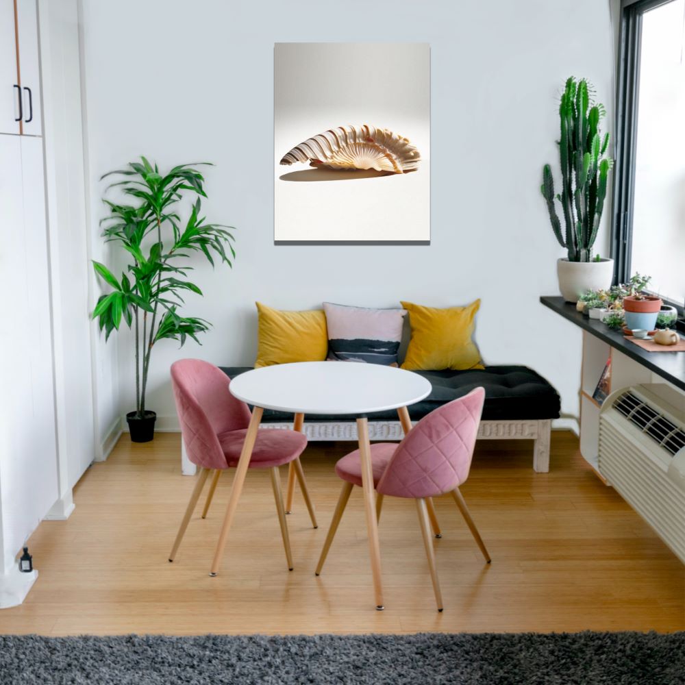 Nautilus Shell Wall Decor