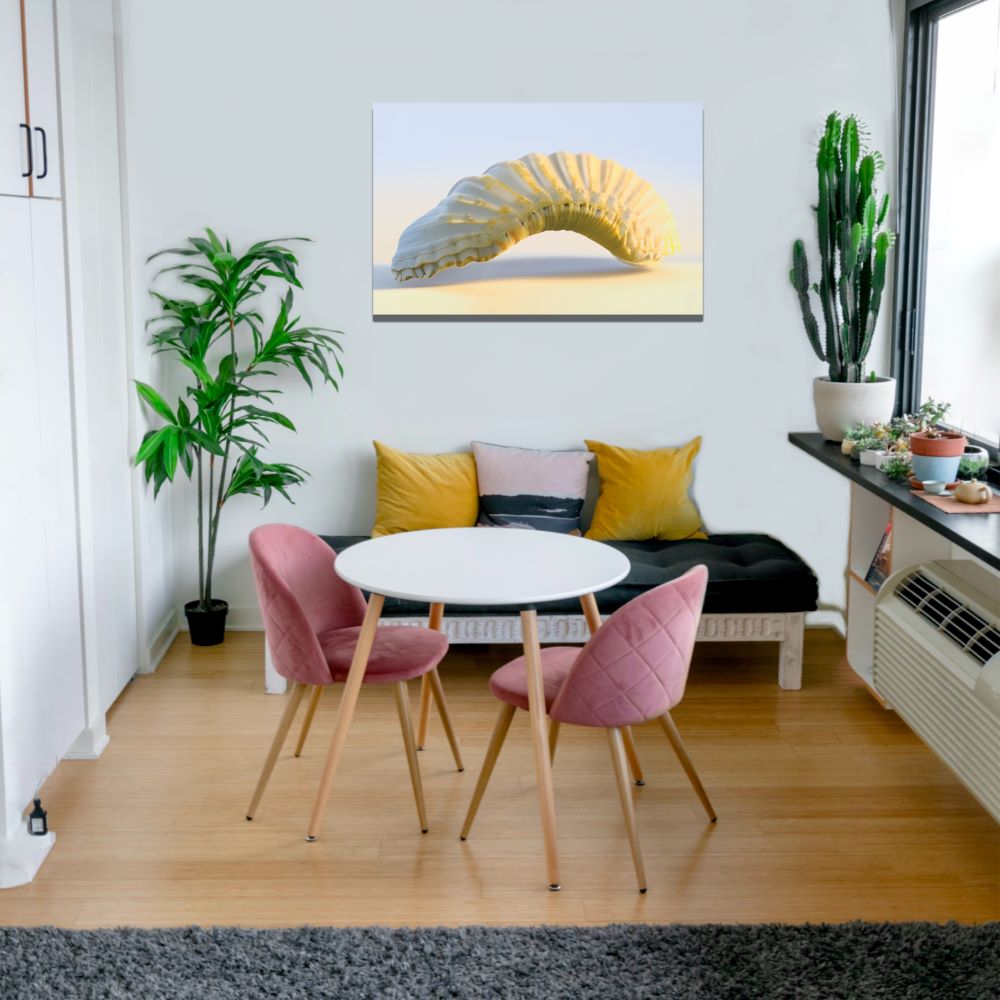 Authentic Nautilus Shell Wall Art
