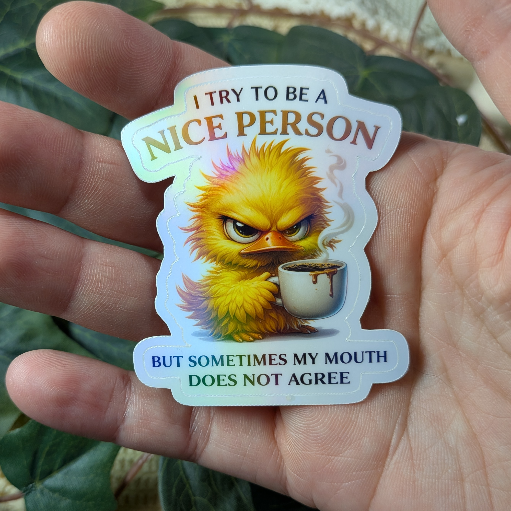 I try to be a nice person but sometimes my mouth does not agree - vinyylitarra