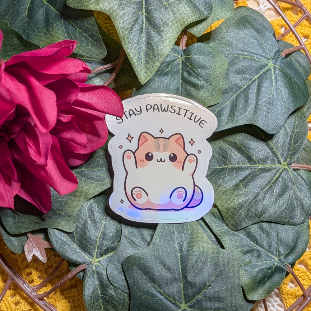 Stay Pawsitive - vinyylitarra