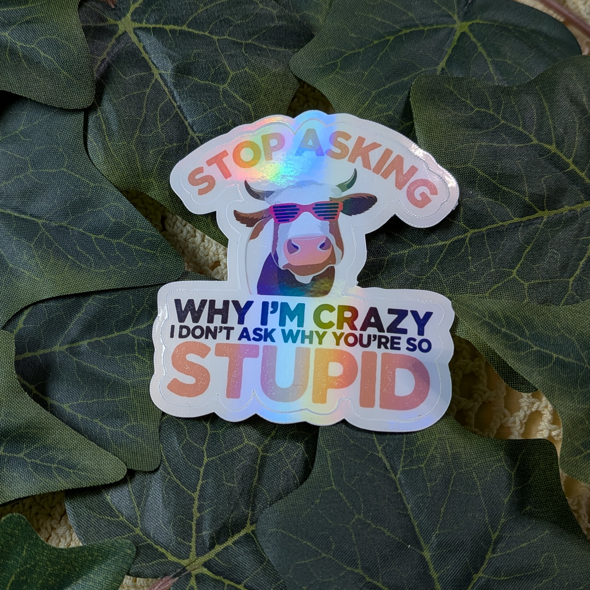 Stop asking why I'm crazy, I don't ask why you're so stupid - vinyylitarra