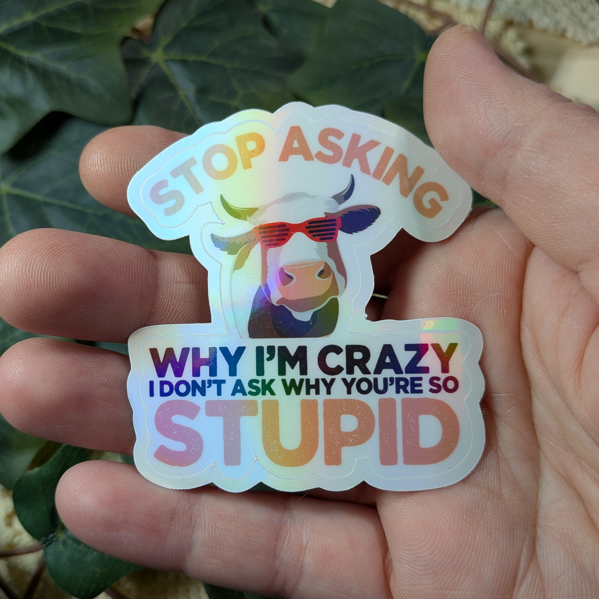 Stop asking why I'm crazy, I don't ask why you're so stupid - vinyylitarra