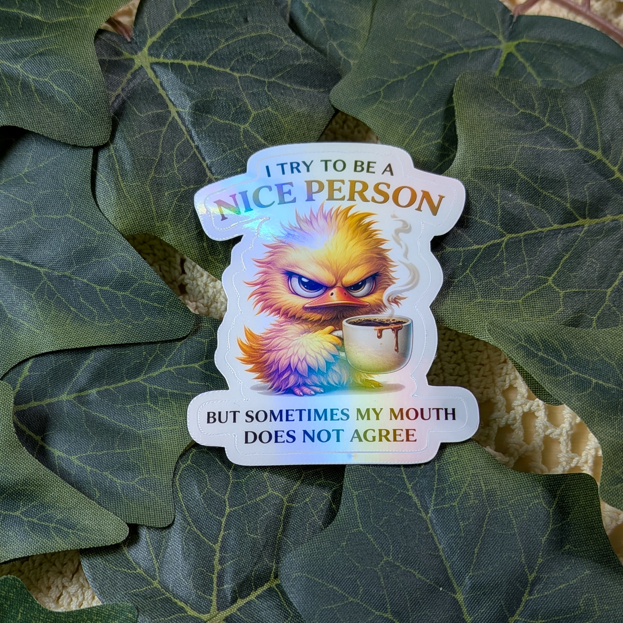 I try to be a nice person but sometimes my mouth does not agree - vinyylitarra