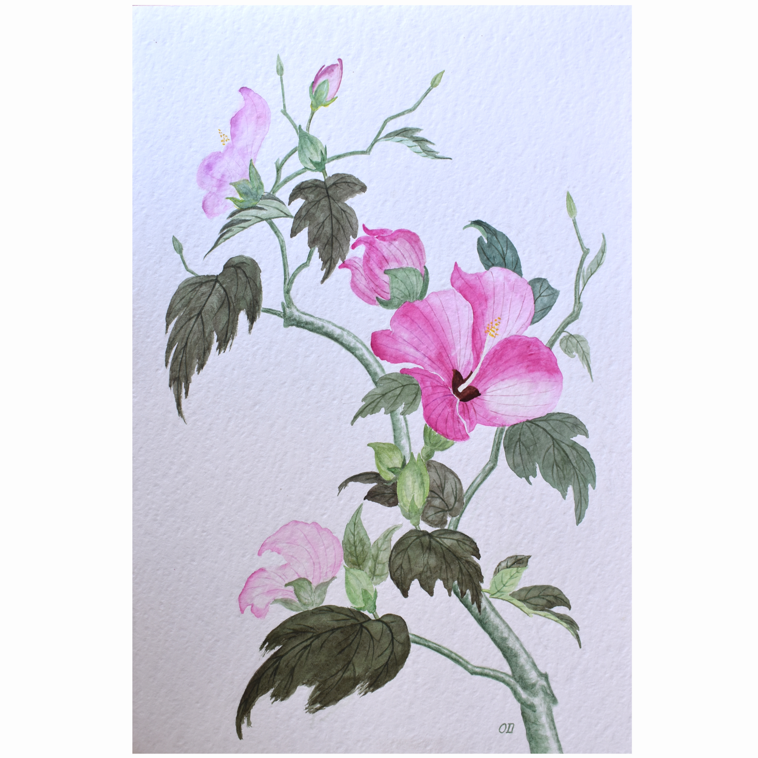 Hibiscus Song — Original Watercolor by Oskar D.