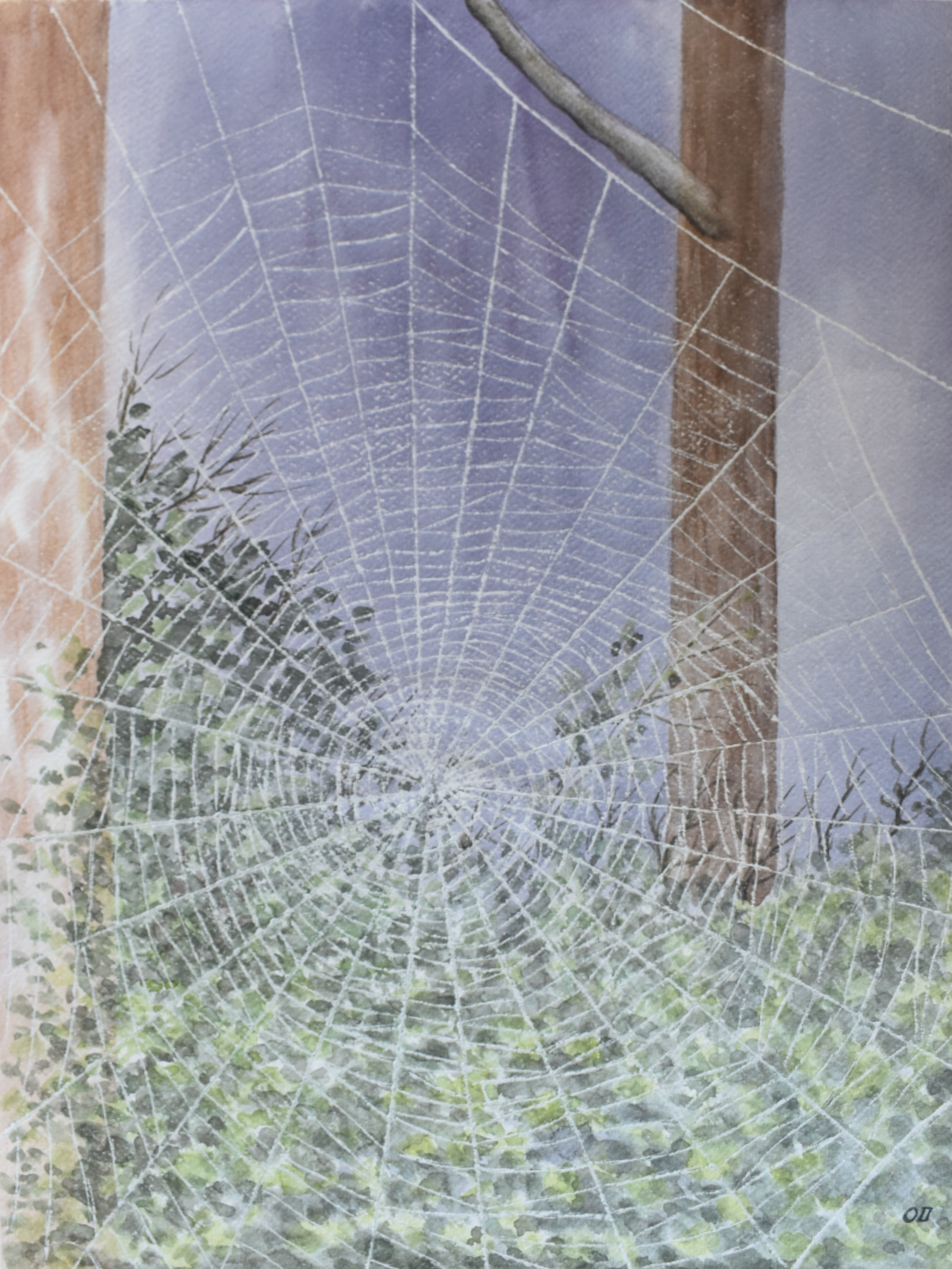 Web of Morning — Original Watercolor by Oskar D.