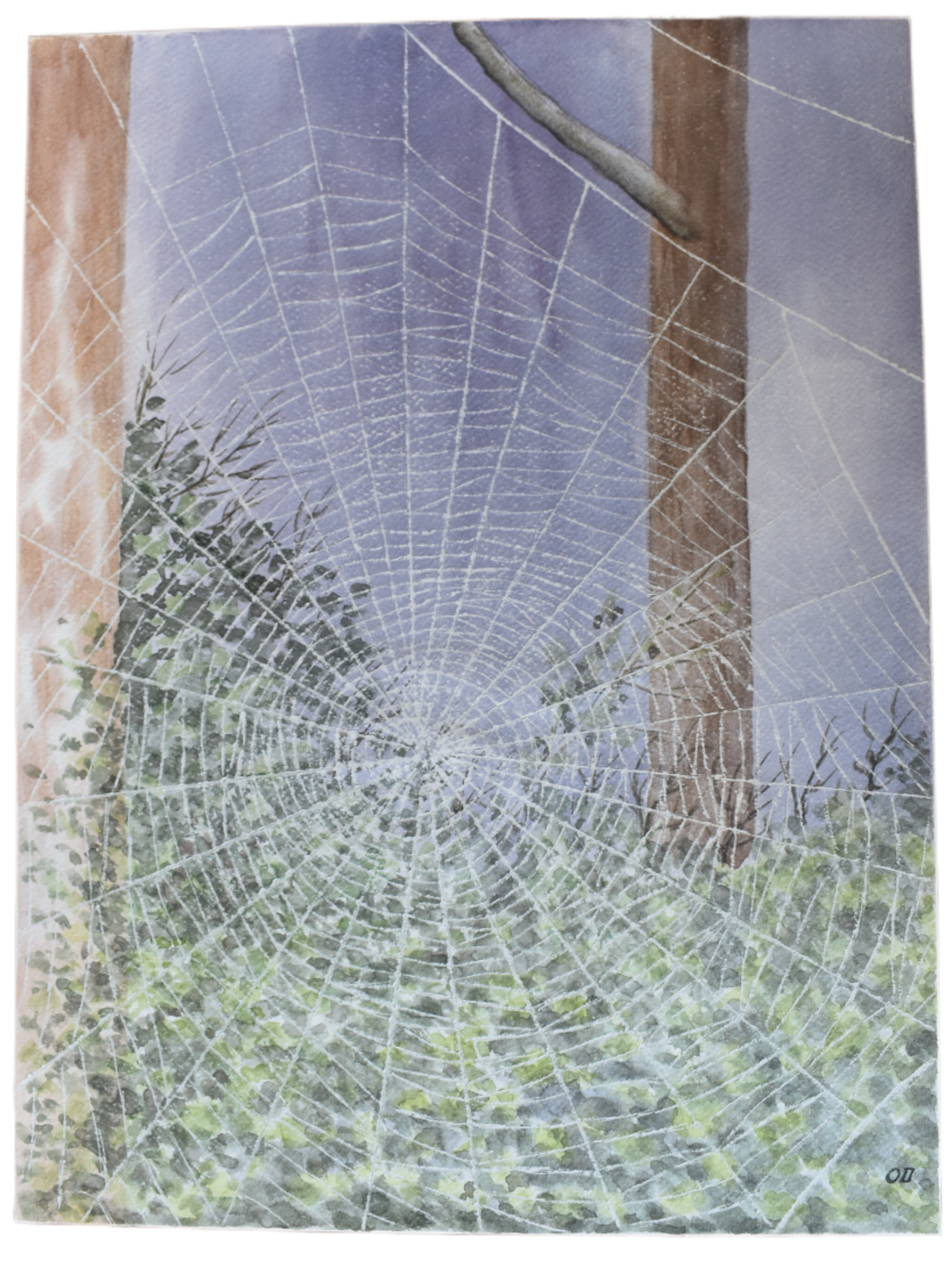 Web of Morning — Original Watercolor by Oskar D.