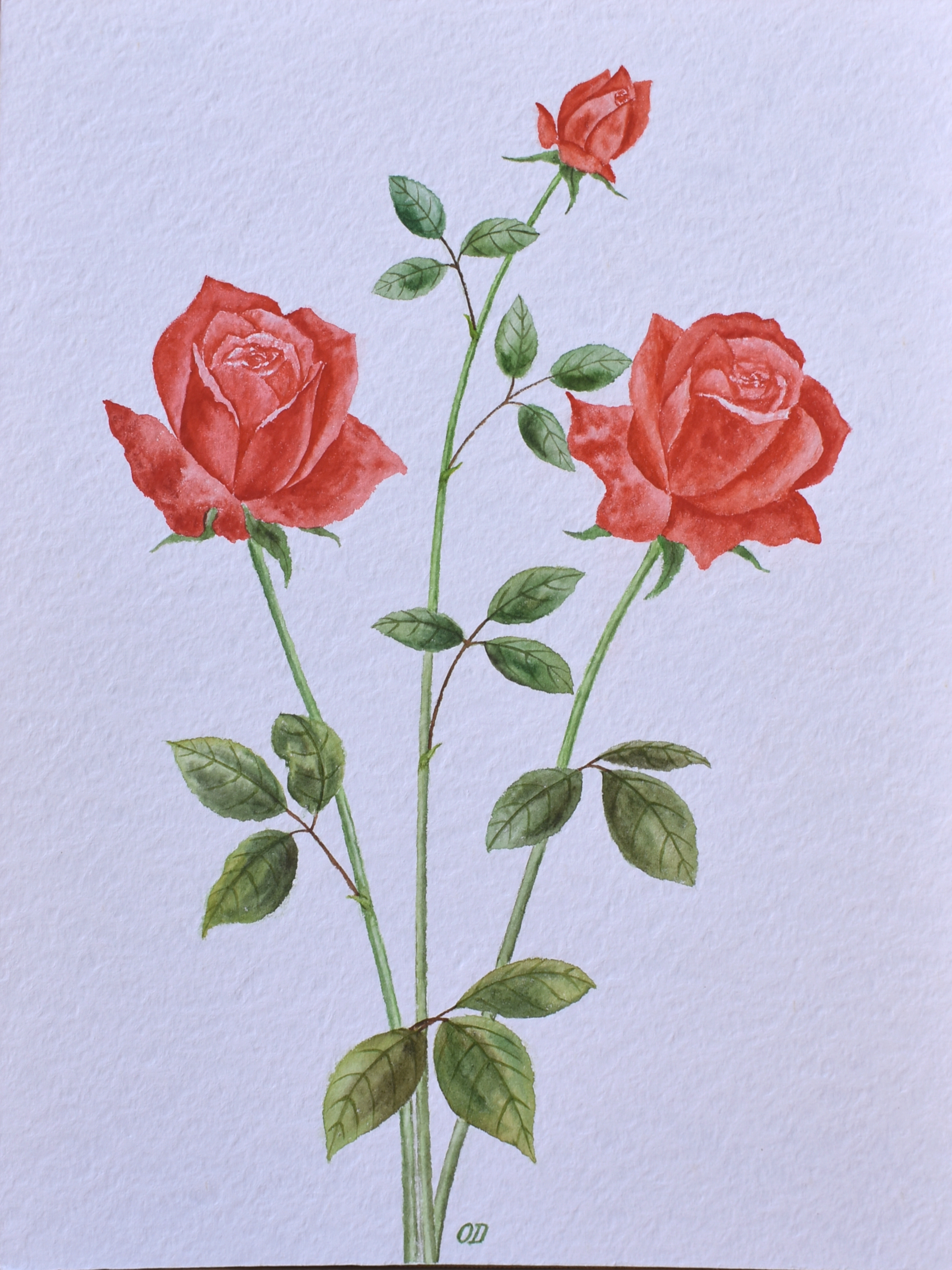 Rose Memory — Original Watercolor by Oskar D.