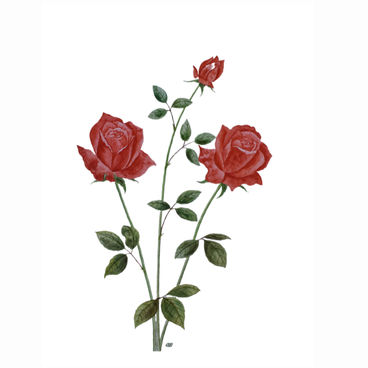 Rose Memory — Original Watercolor by Oskar D.