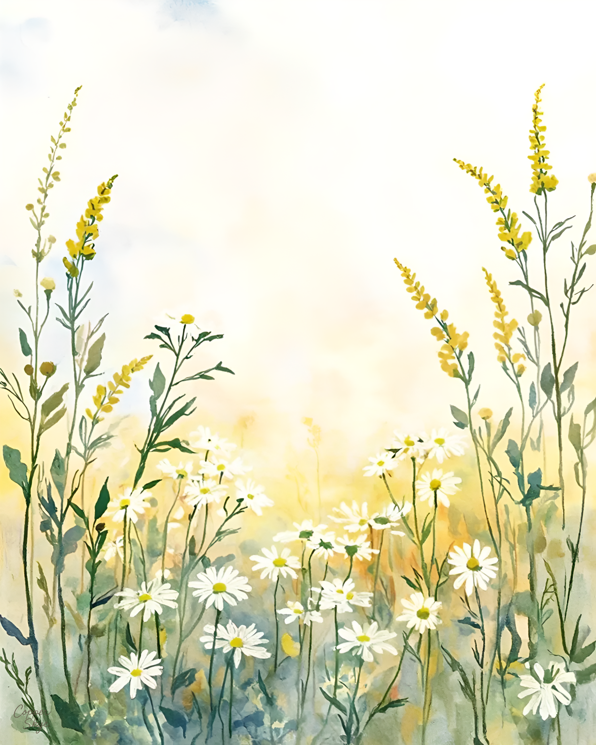 Windswept Daisies — Digital Watercolor Art Download