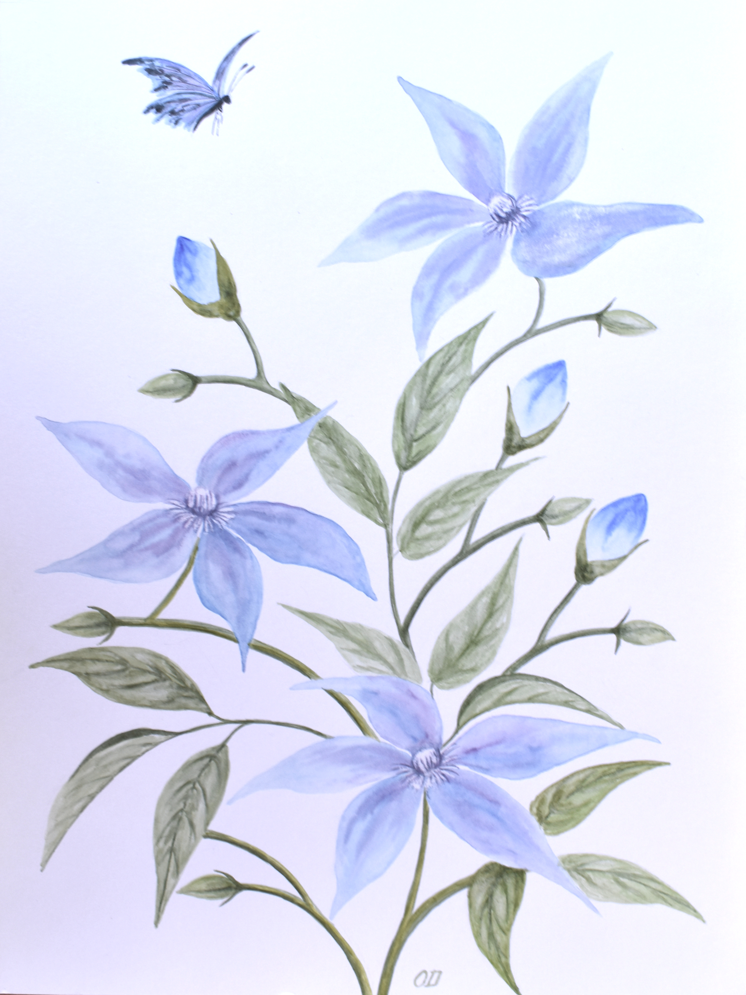 Skybound Blooms — Original Watercolor by Oskar D.