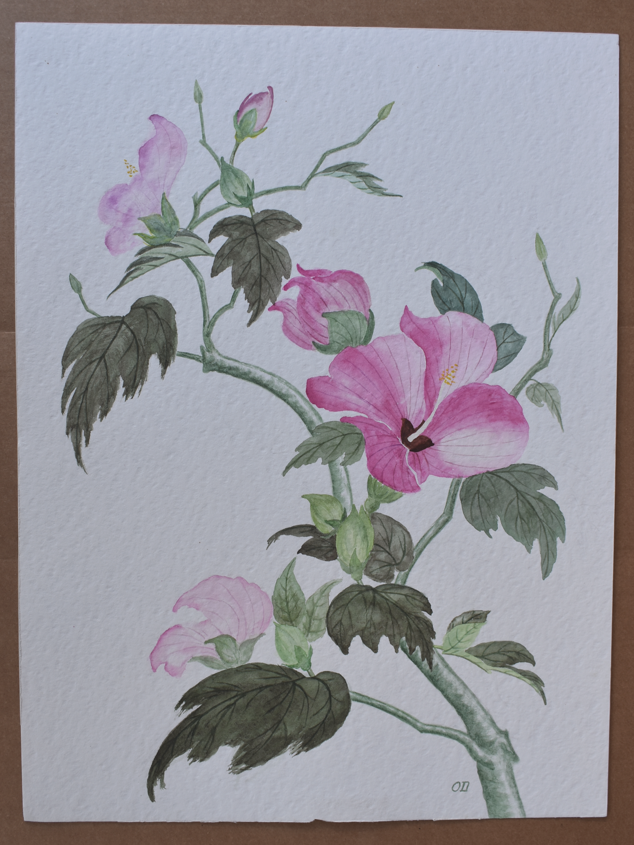 Hibiscus Song — Original Watercolor by Oskar D.
