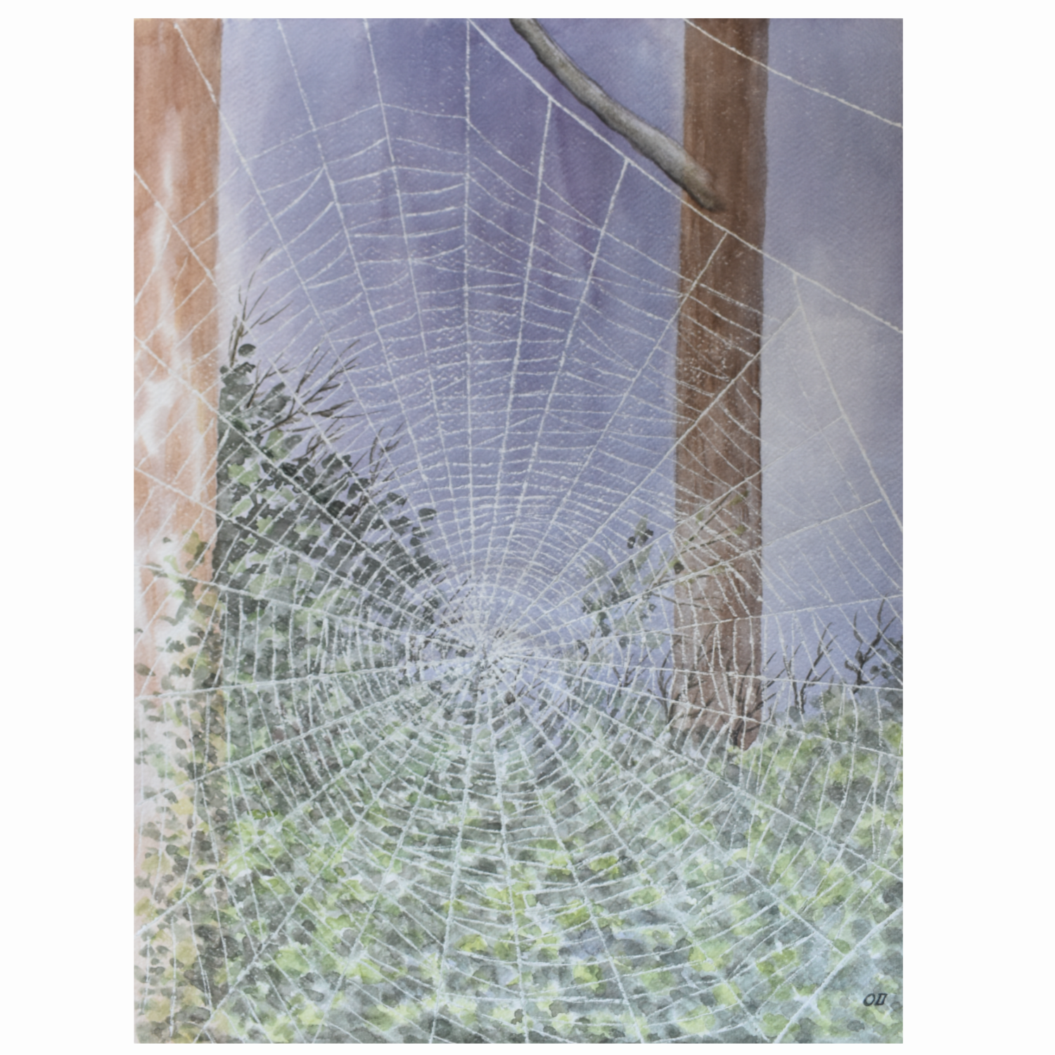 Web of Morning — Original Watercolor by Oskar D.