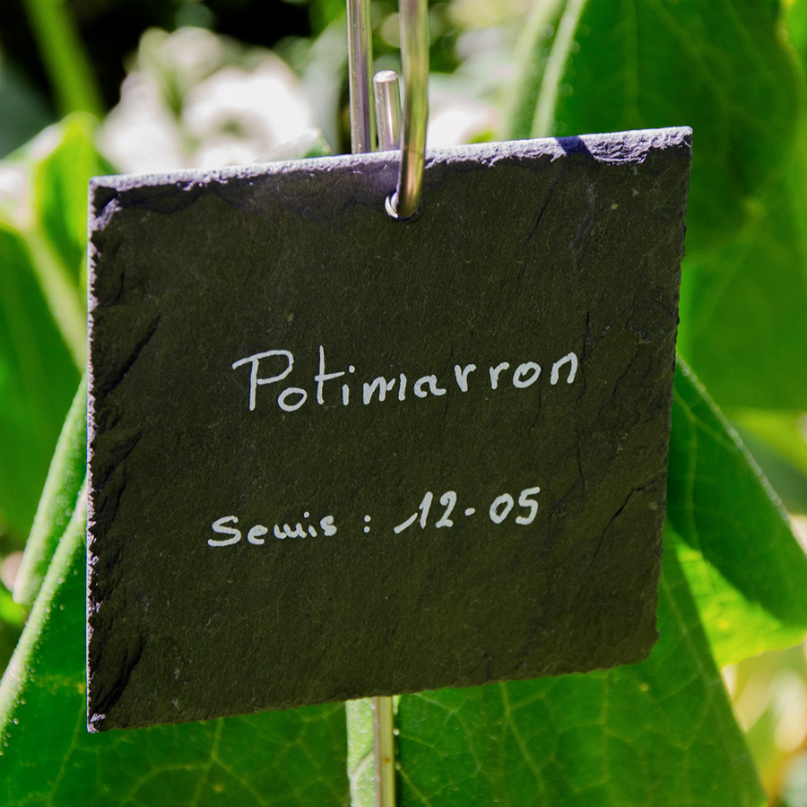 Lot de 10 ardoises 10x10cm pour le jardin
