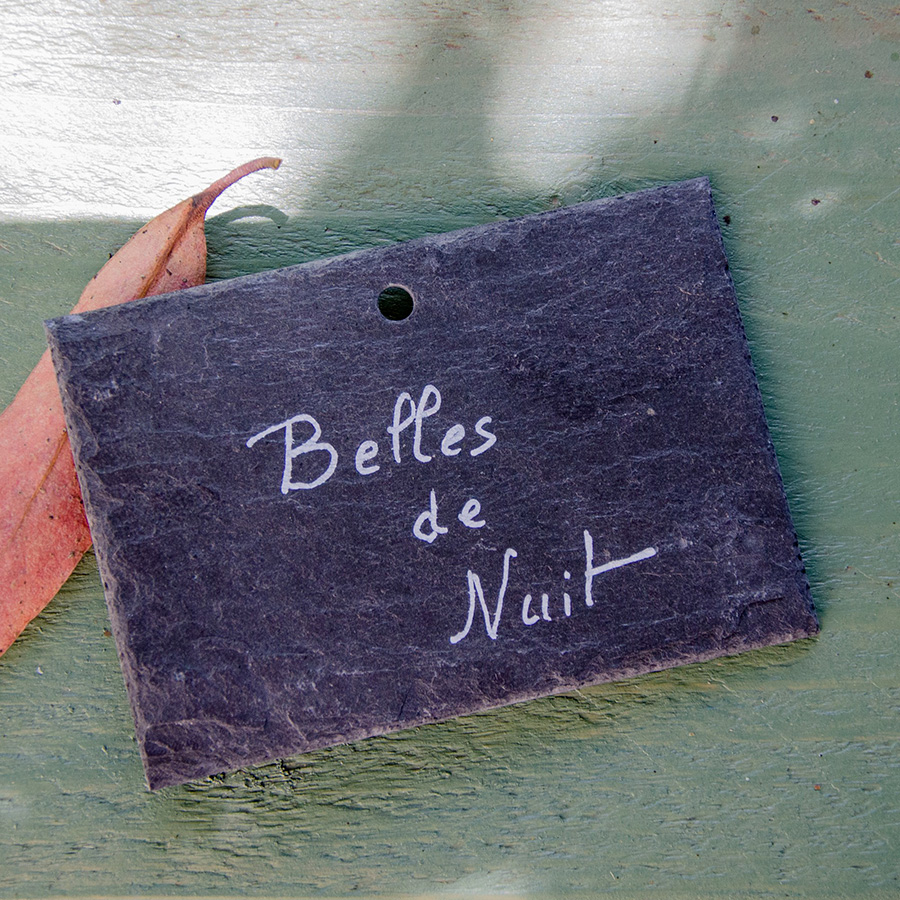 Lot de 10 ardoises 7x10cm pour le jardin