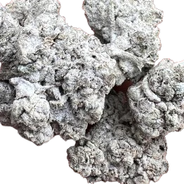 Snowballs THC-A Flower Dusted with Diamonds