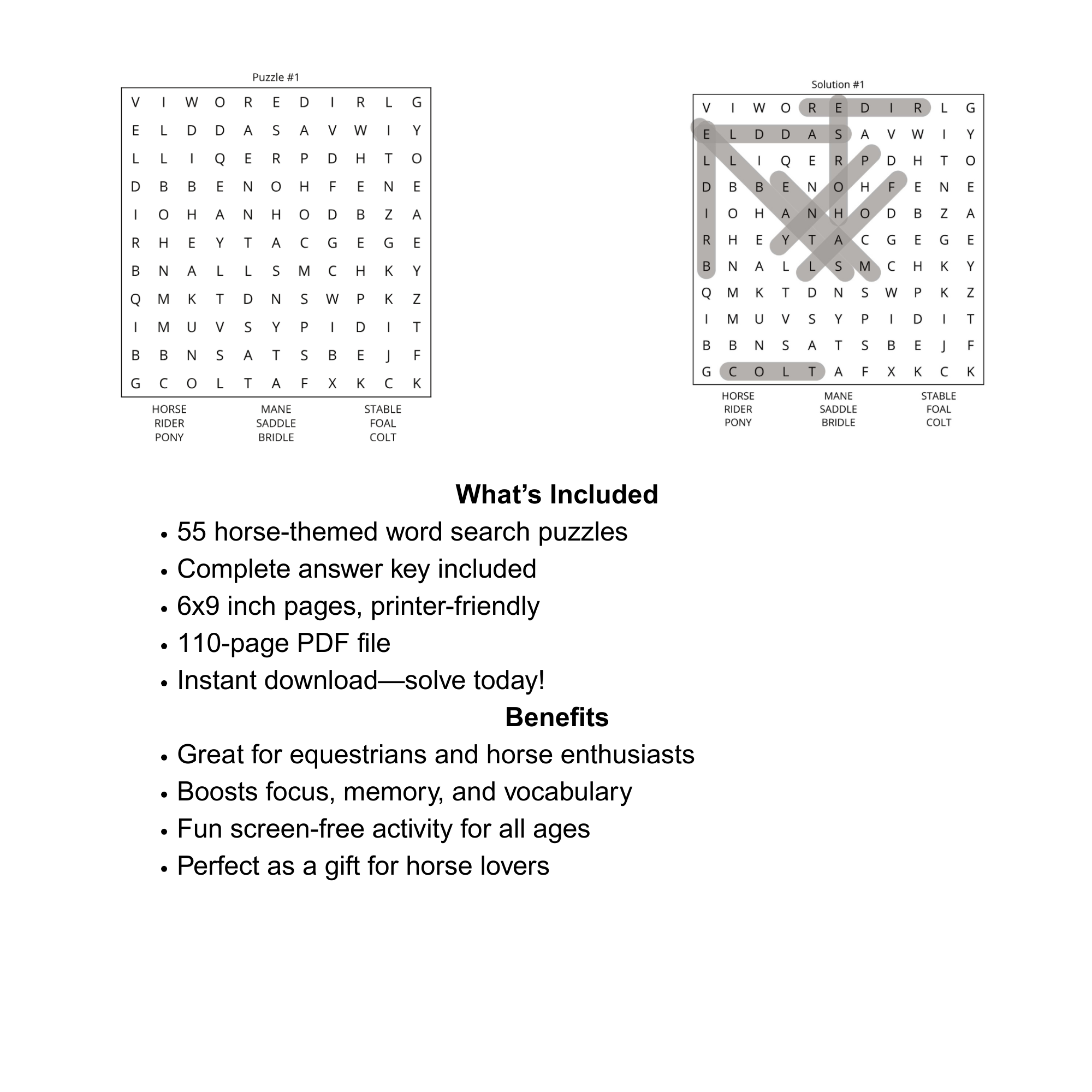 Horse Word Search Puzzle Book (55 Puzzles, Printable PDF, 6x9)