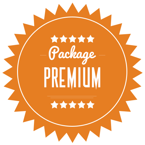 Premium Plan – $19.99 / month(GREAT ARTIST PACKAGE)
