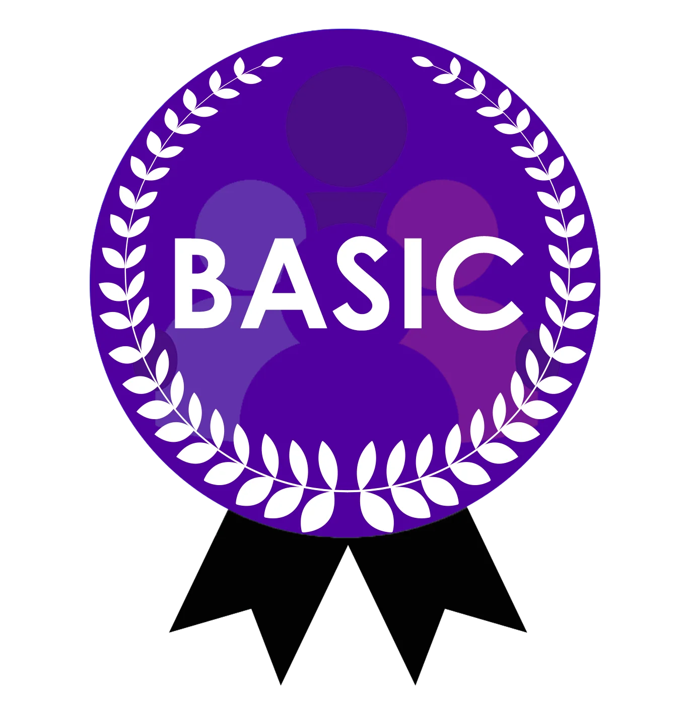 Basic Plan – $9.99 / month(BEST ECONOMIC PACKAGE)