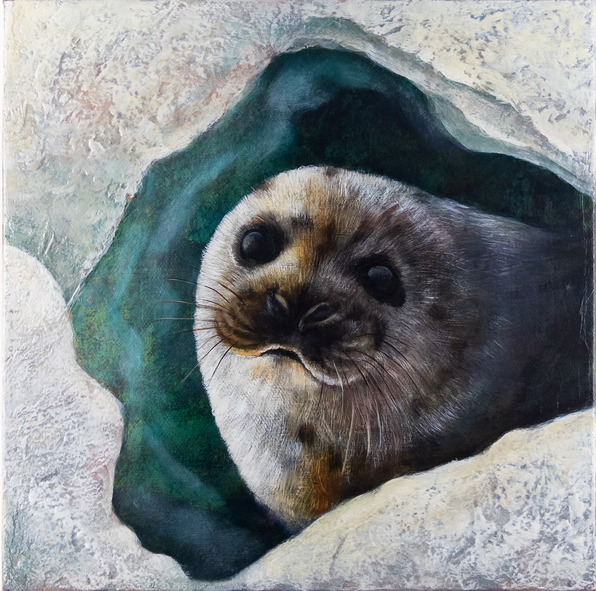 "Warm Eyes in the Cold Arctic "