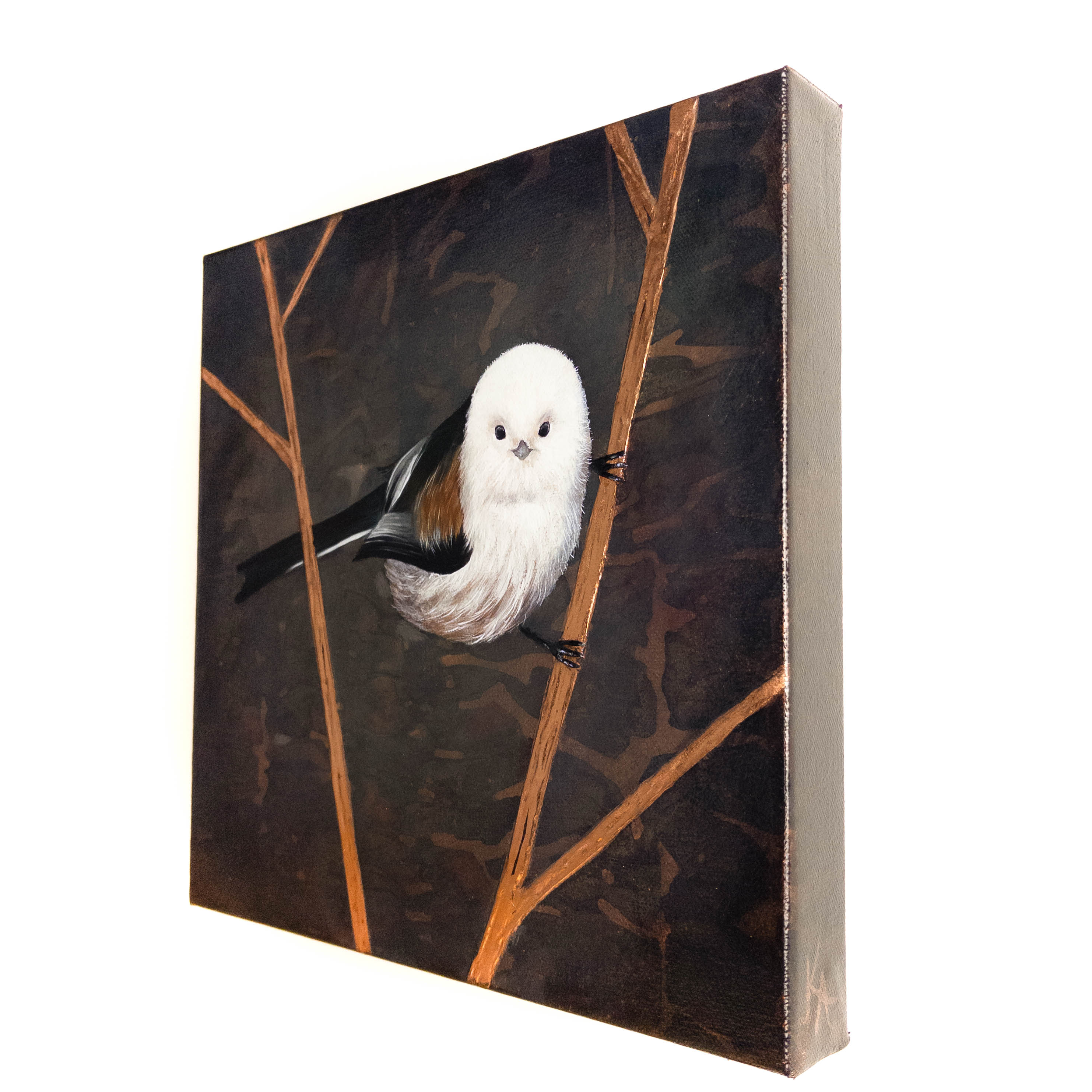 "Quiet Perch"