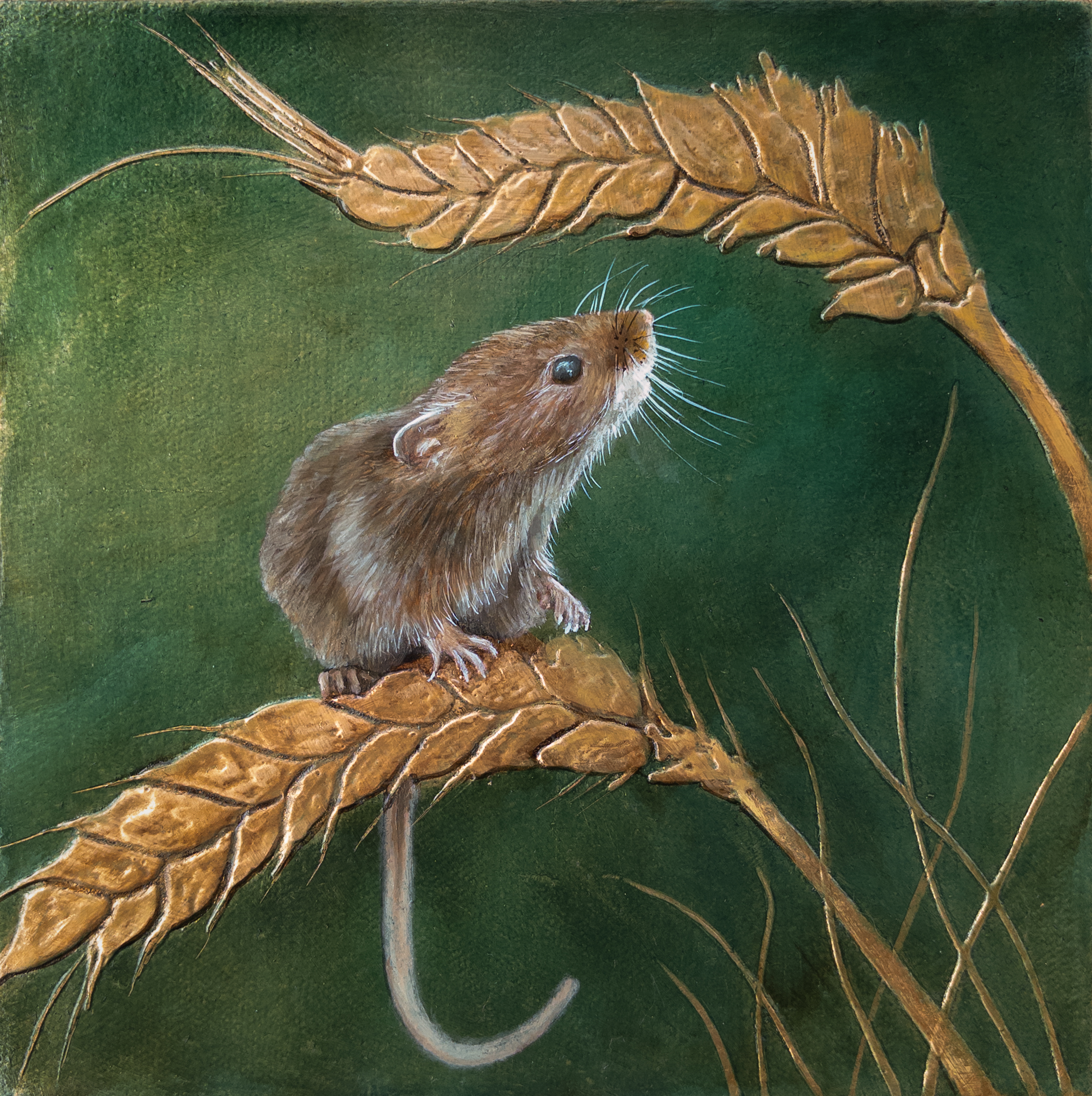 "Among the Grains"
