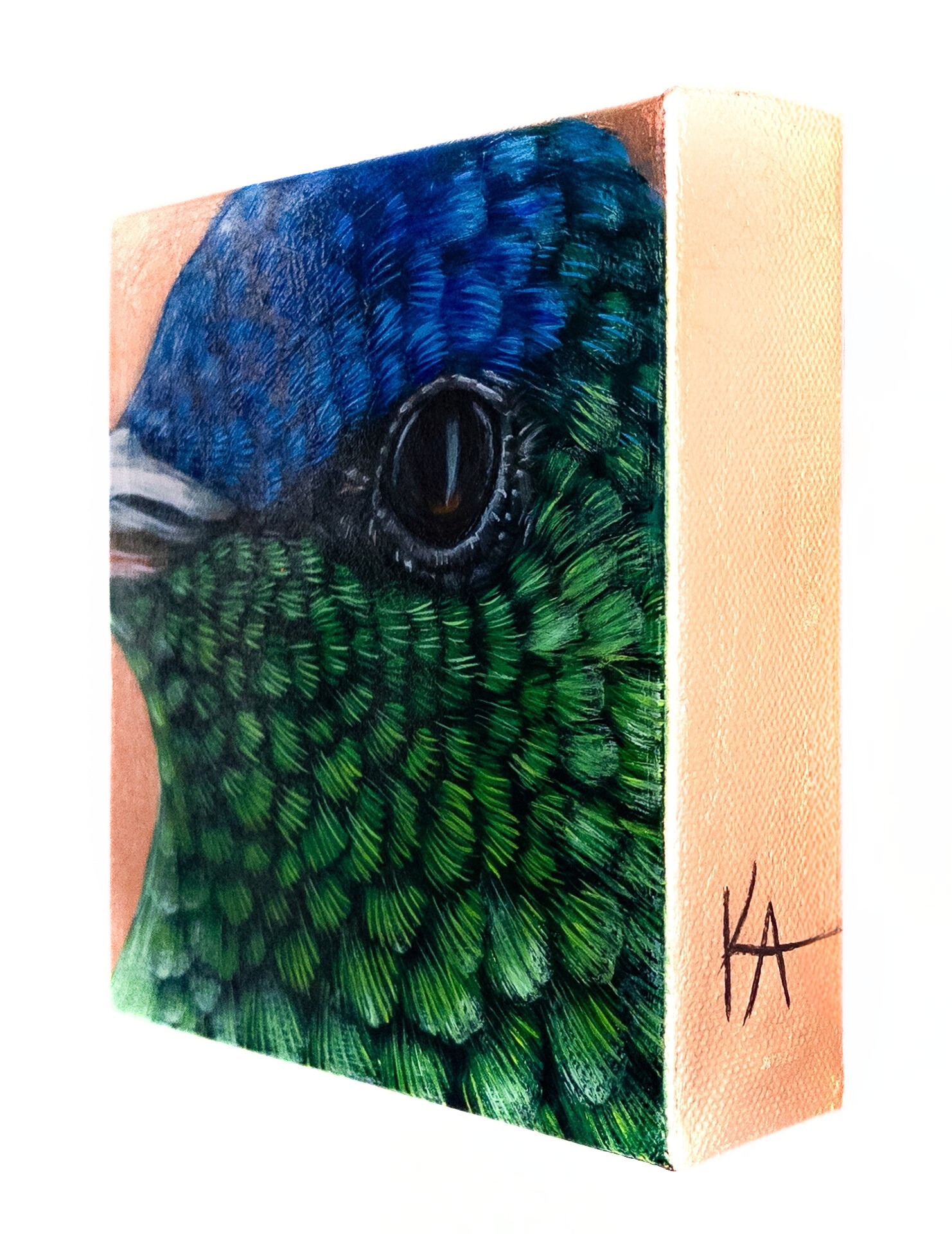 "Jewel of the Air, A Closer Look"