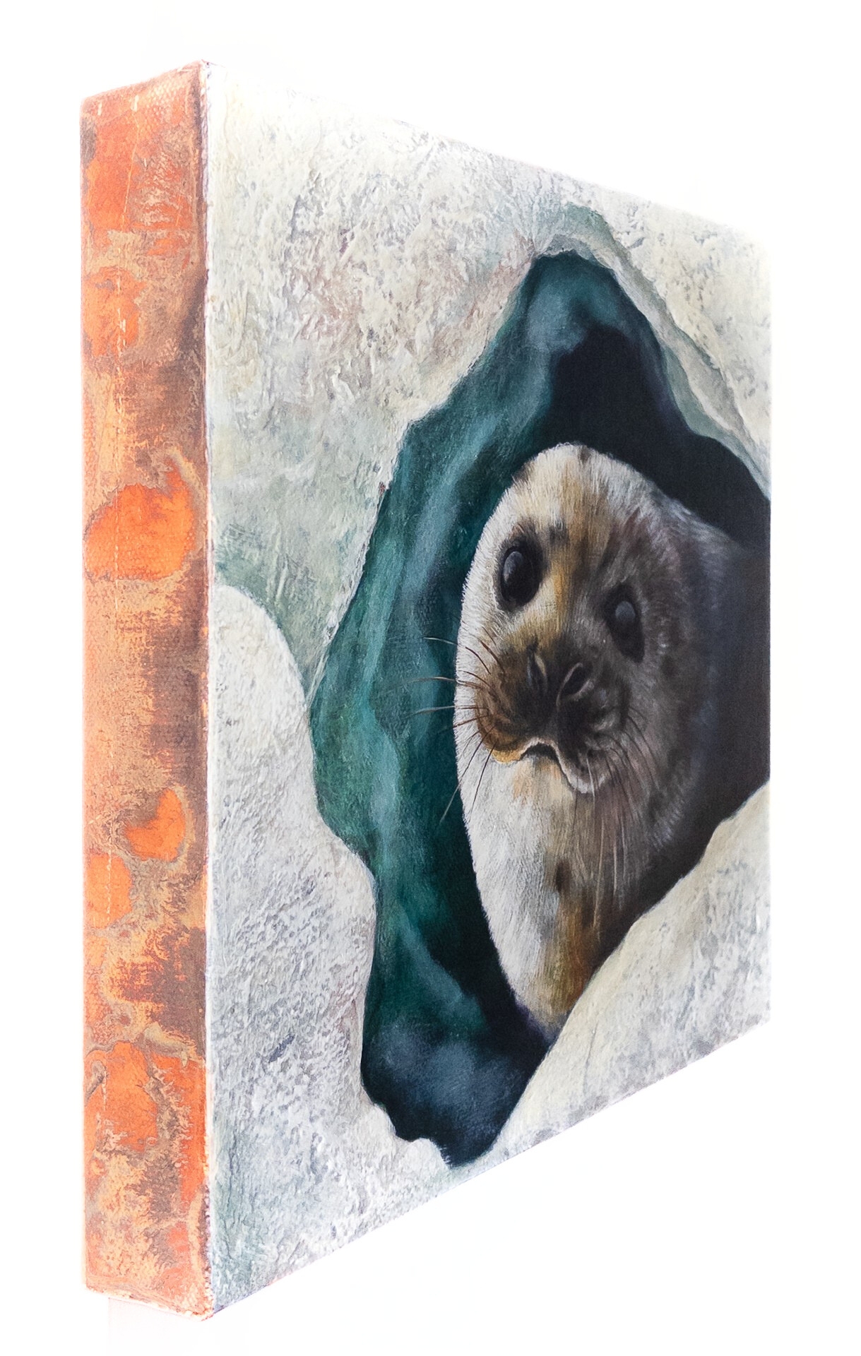 "Warm Eyes in the Cold Arctic "