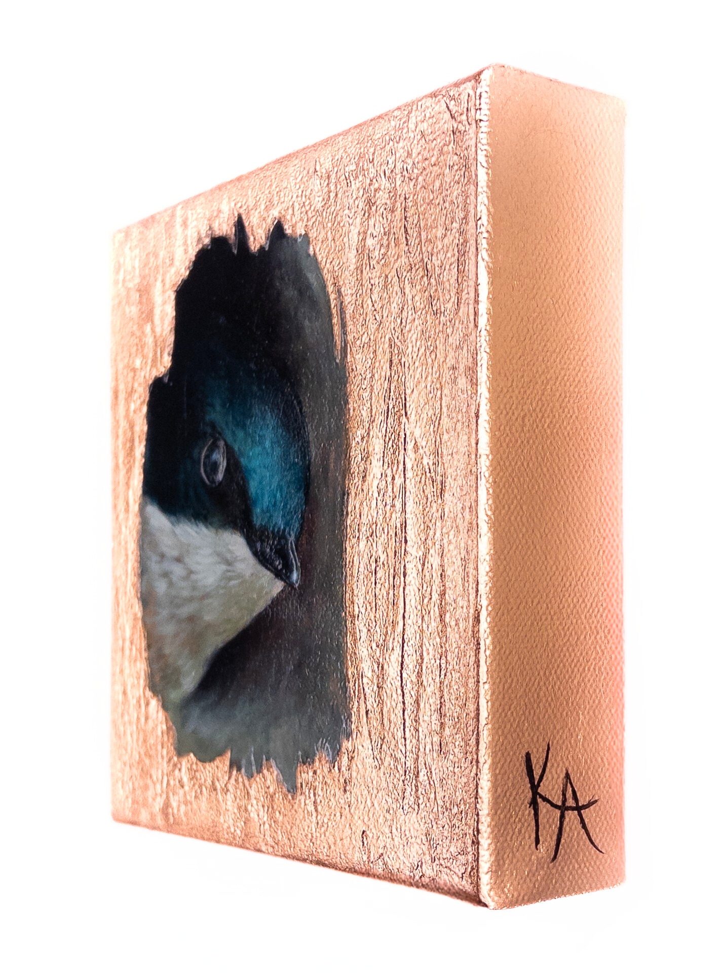 "Hello, Beautiful World"