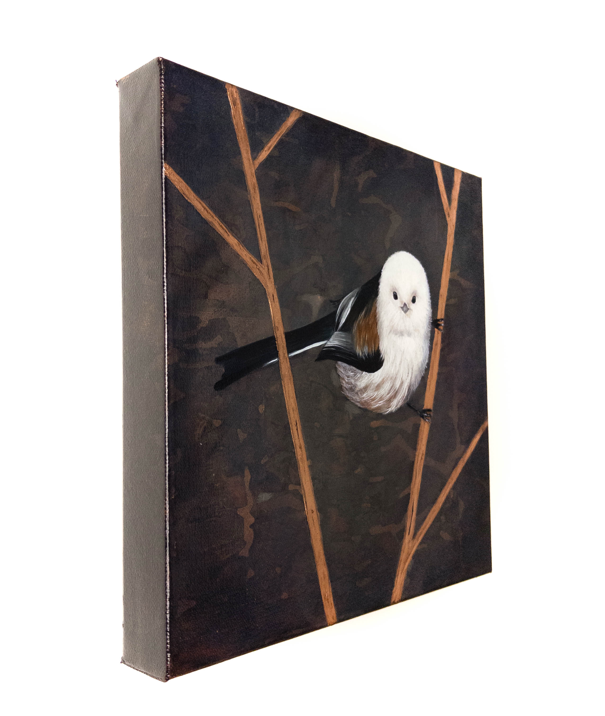 "Quiet Perch"