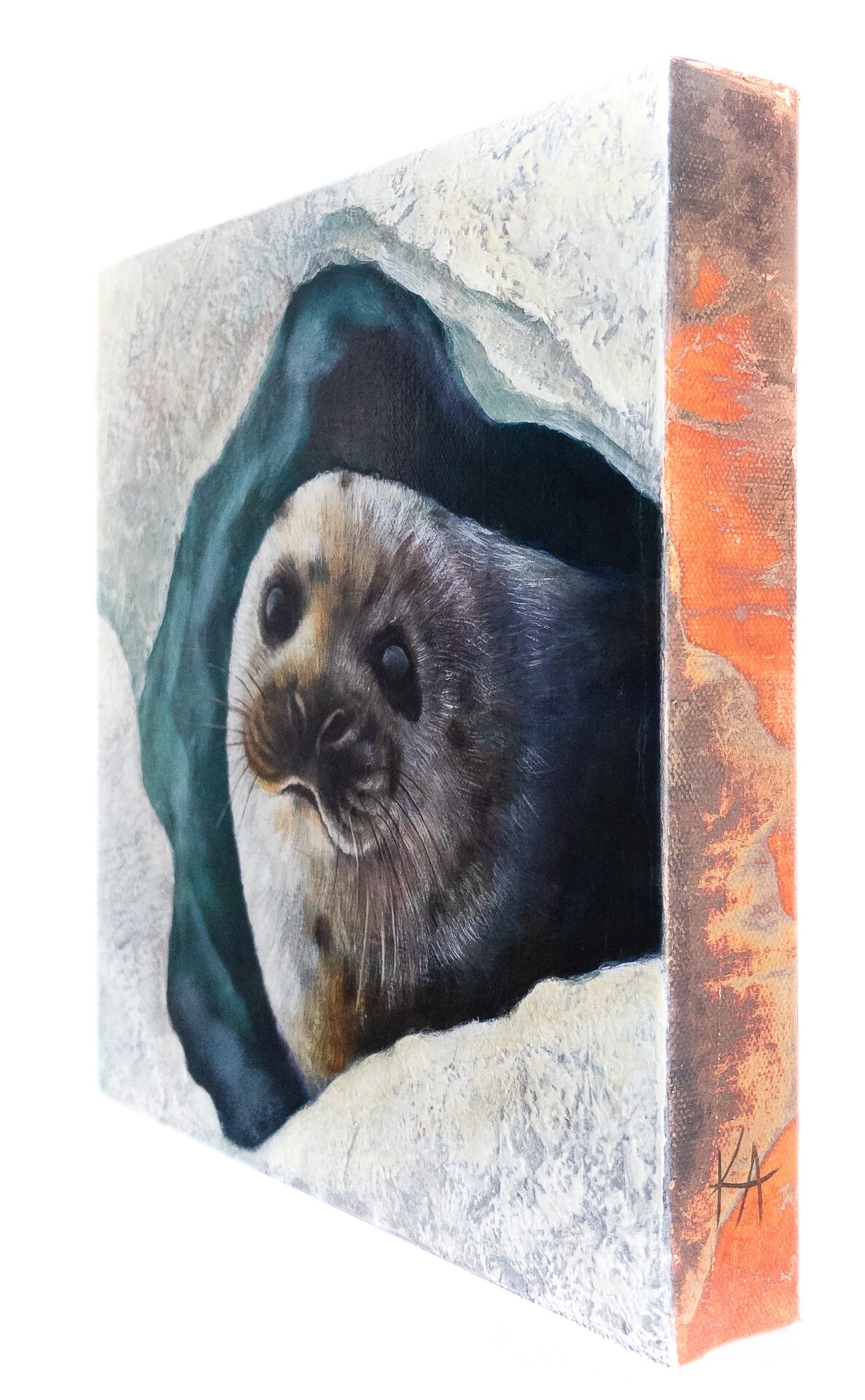 "Warm Eyes in the Cold Arctic "