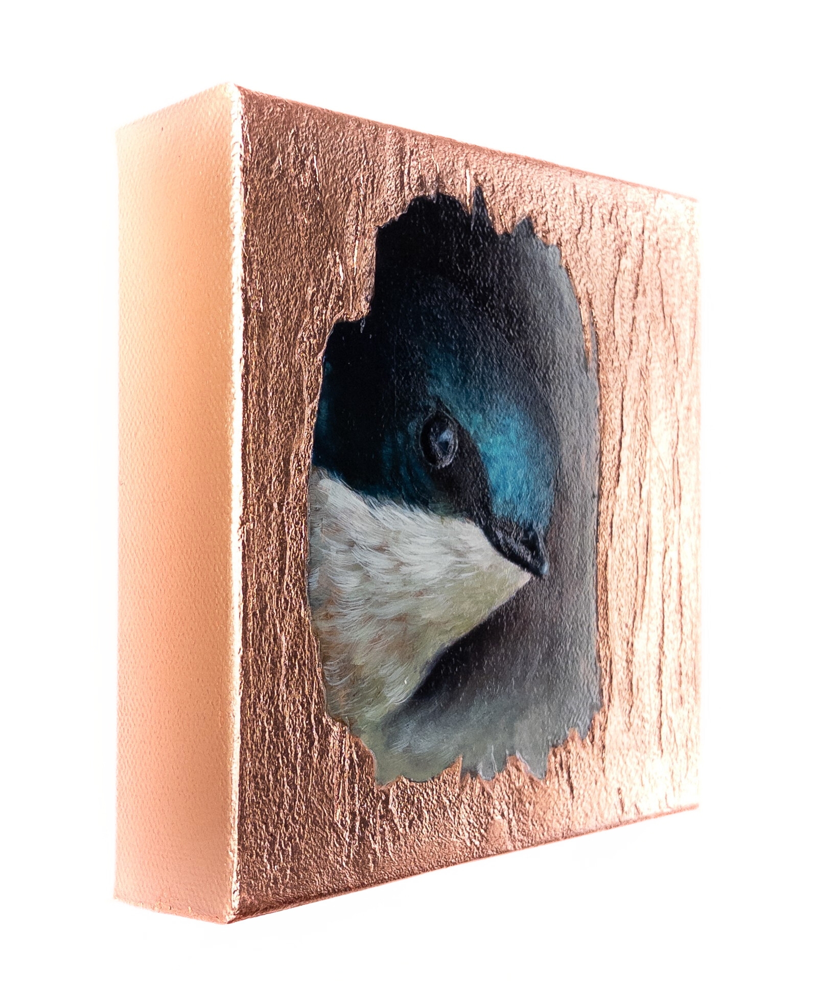 "Hello, Beautiful World"