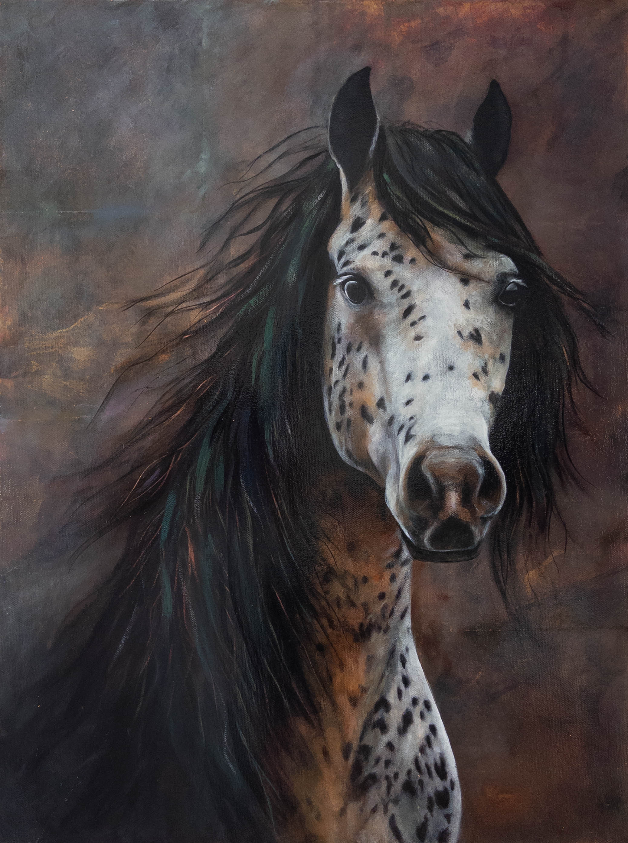 "Untamed Spirit"