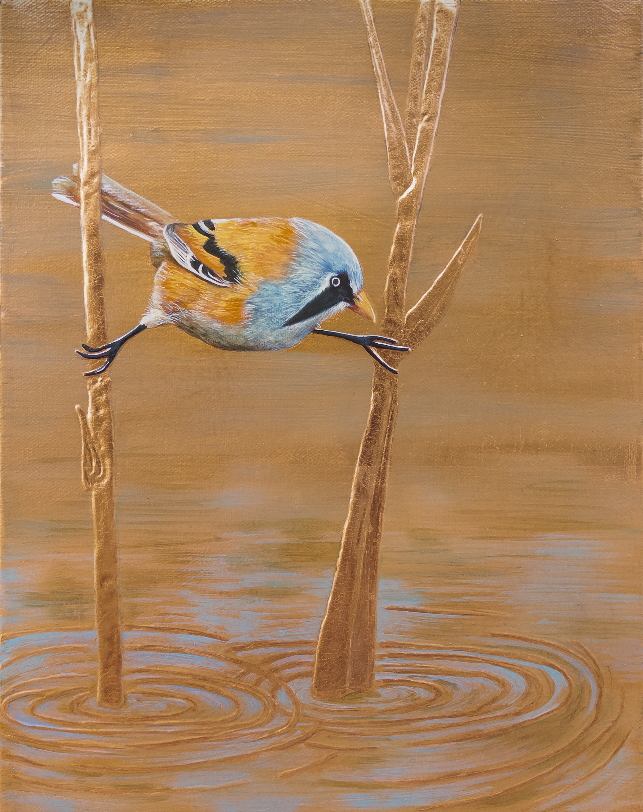 "Between the Reeds"