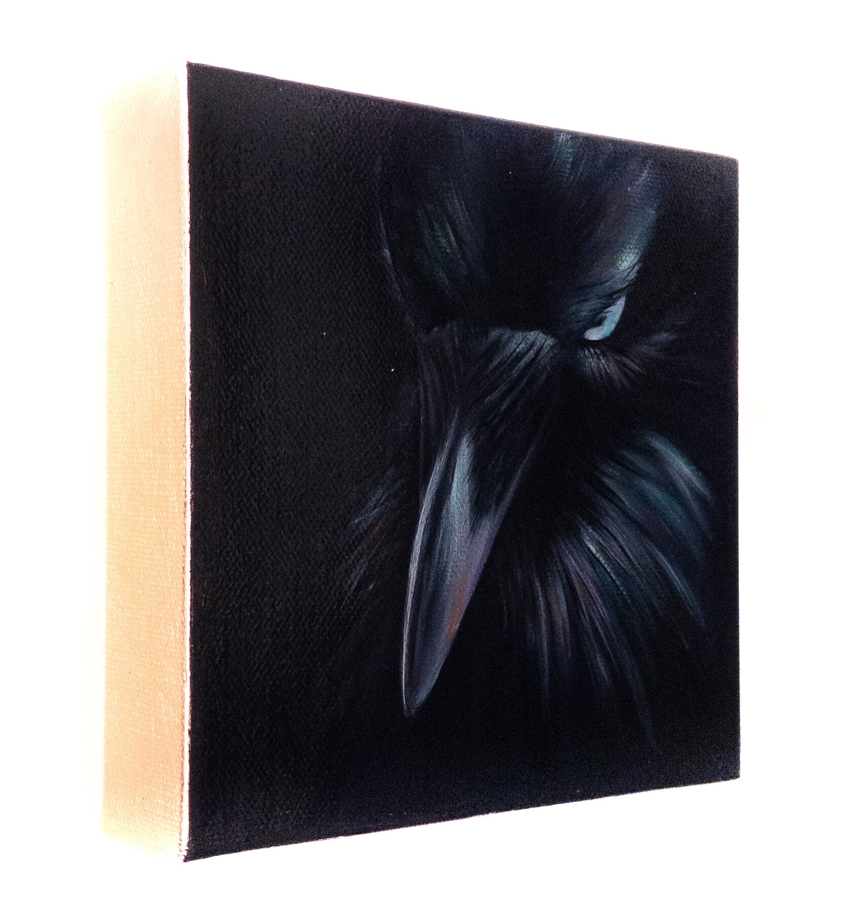 "Quiet Shadows Bloom with Light"