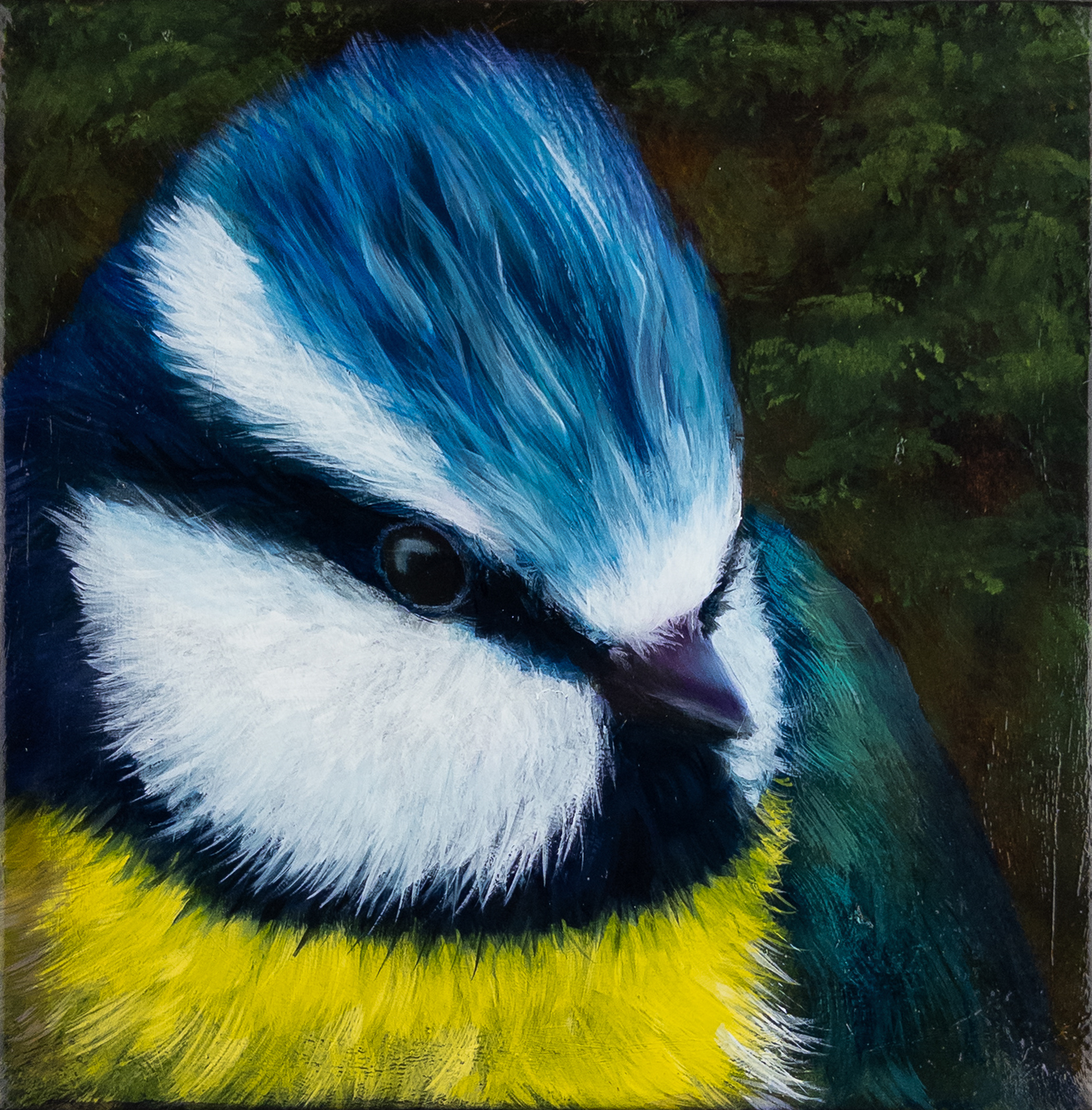 "Beauty That Cannot Hide"