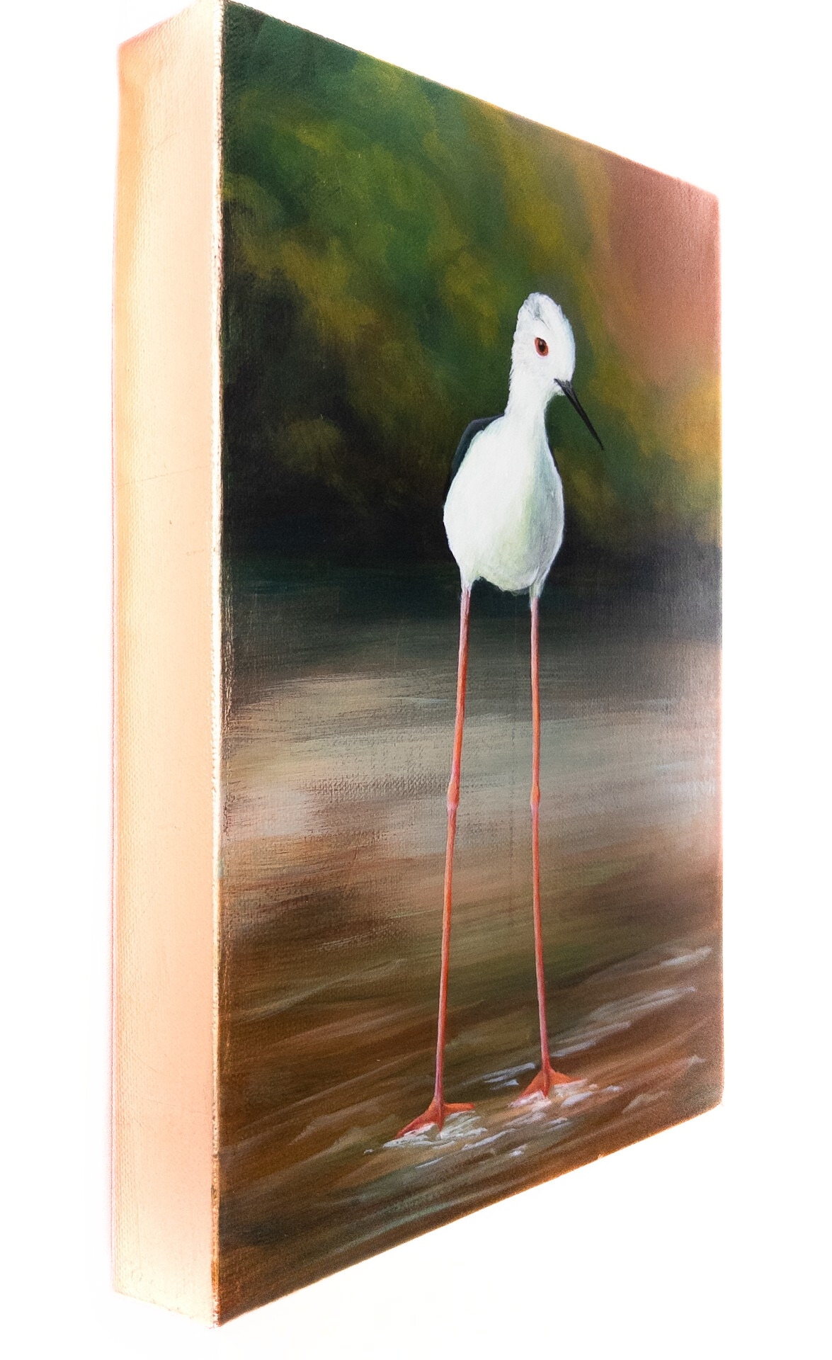 "A Pause in Quiet Shallows"