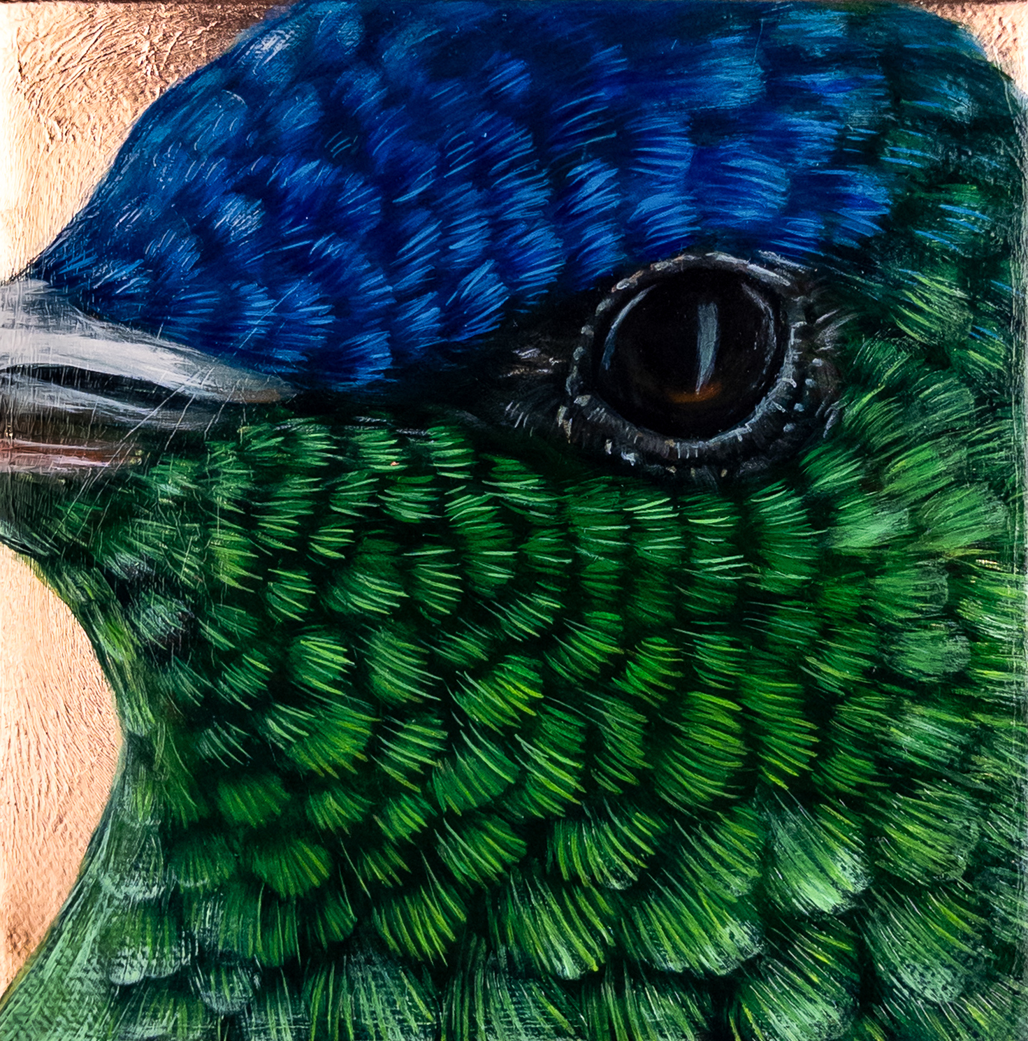 "Jewel of the Air, A Closer Look"