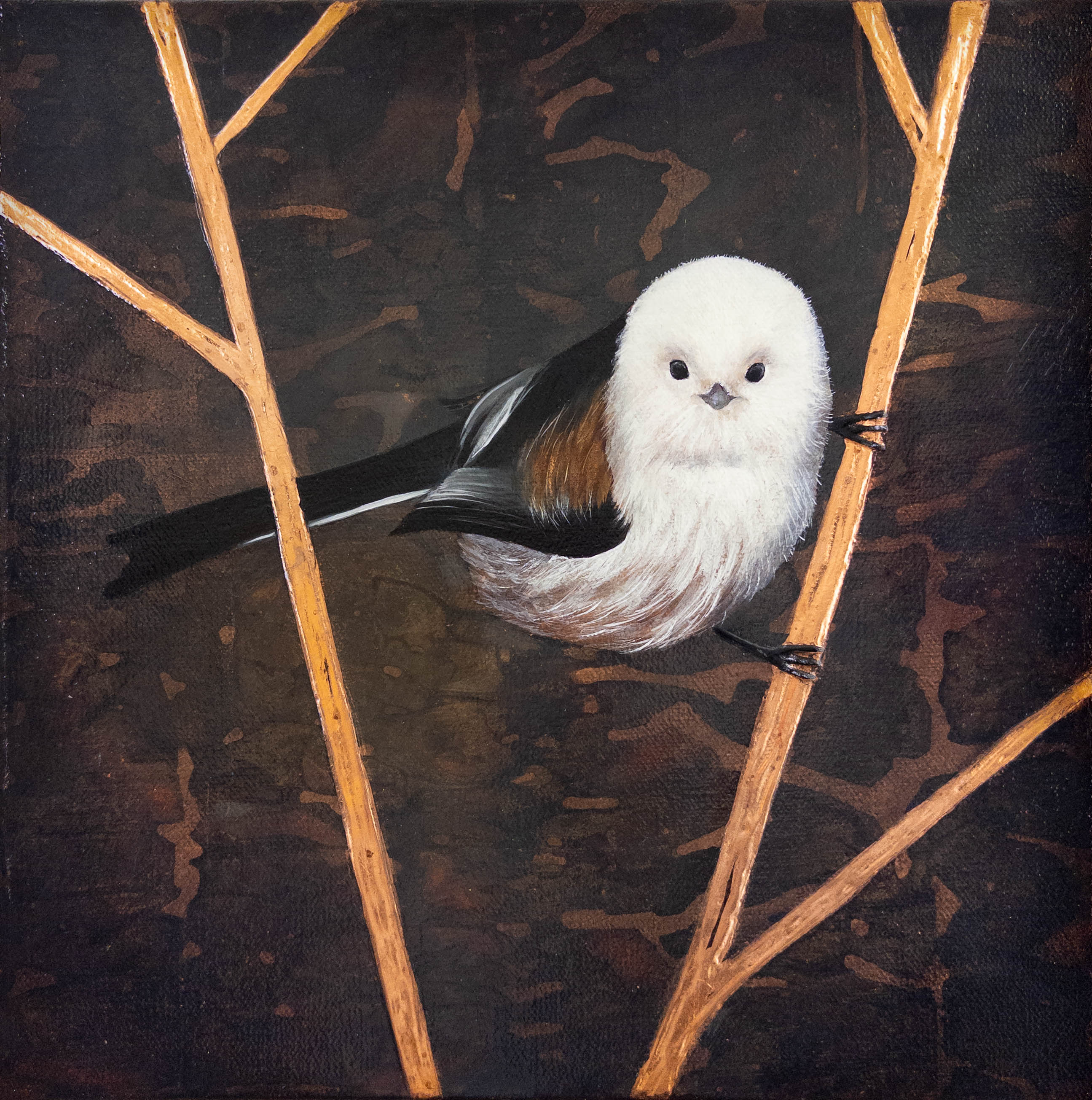 "Quiet Perch"